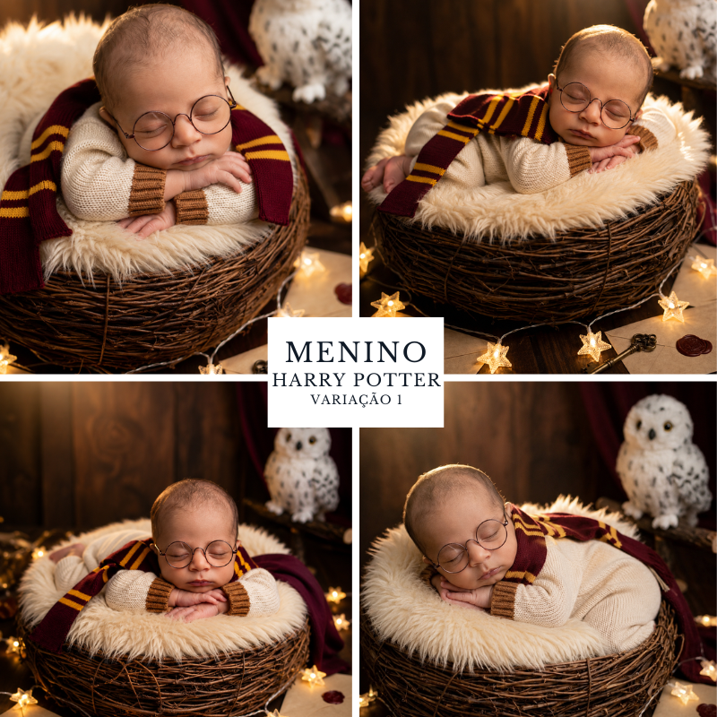 Harry Potter 2